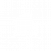 GO-viking logo colored