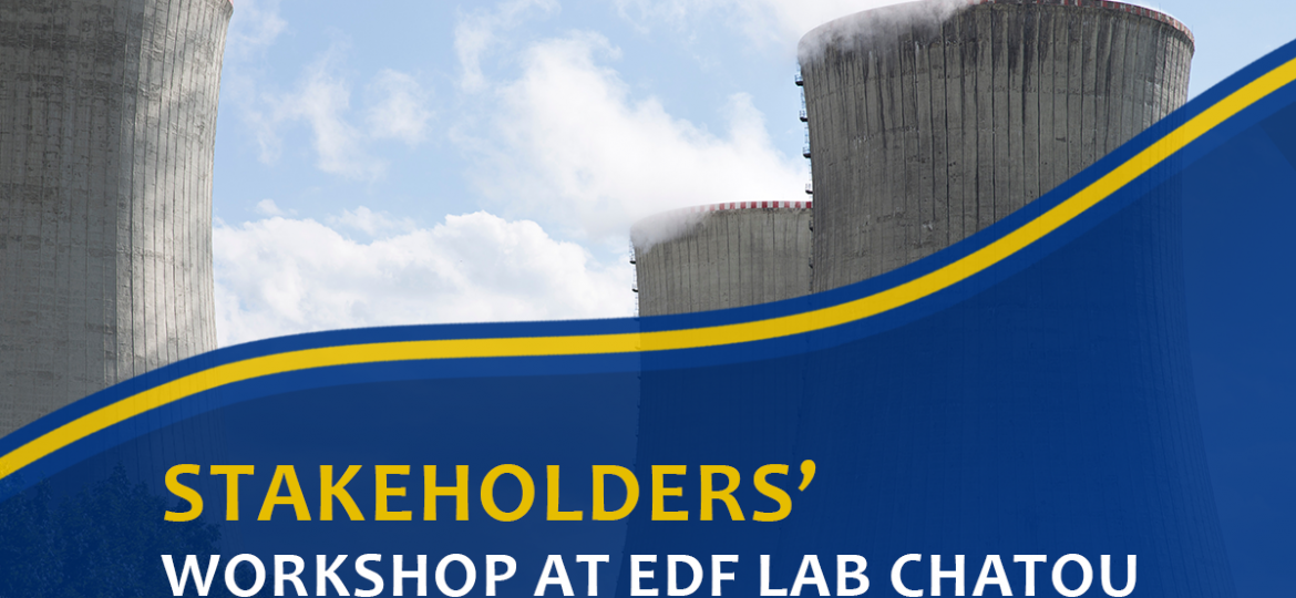 image de THE GO-VIKING PROJECT ORGANISED A STAKEHOLDERS’ WORKSHOP AT EDF LAB CHATOU